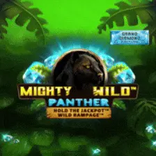 Mighty Wild Panther Diamond
